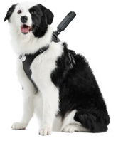 Insta360 Pet Sele för Aktiva Husdjur Storlek L